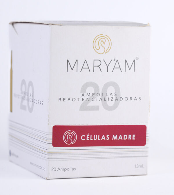AMPOLLETA CÉLULAS MADRE NUTRICIÓN - Imagen 2